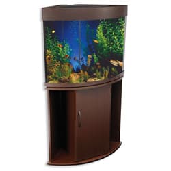 Compass Rose Corner 50-gallon Aquarium and Stand - Bed Bath & Beyond -  5738248