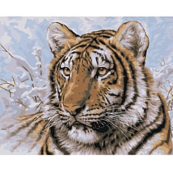 Paint By Number 'Siberian Tiger' Kit