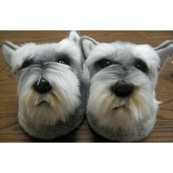 schnauzer slippers