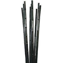 Shop Laura Ashley Tall Black Bamboo Poles 9 Poles Free