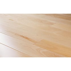 Shop Artisan Floors Maple 3 4 Hardwood Flooring 13 9 Ft Square