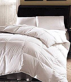 Shop Aurora 233 Thread Count White Goose Down Comforter On Sale