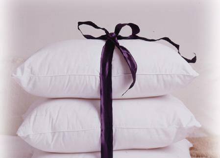 Essential Cotton Pillow (Case of 10) - White