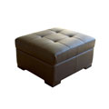 Filbert Multifunctional Ottoman/ Twin Guest Bed