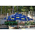 University of Michigan 9-foot Market Umbrella
