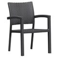 Ashland Outdoor Black Chair (Set of 2)