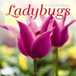 Ladybugs 2012 Calendar (Calendar) Animals