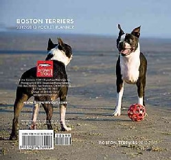 Boston Terriers 2012 2013 Two Year Pocket Planner (Calendar