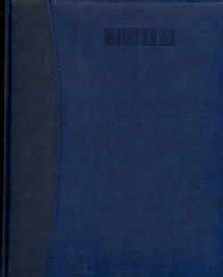 Capri Blue/Blue Executive Desk Diary 2013 (Paperback)