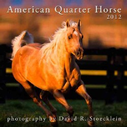 American Quarter Horse 2012 Calendar (Calendar) Animals