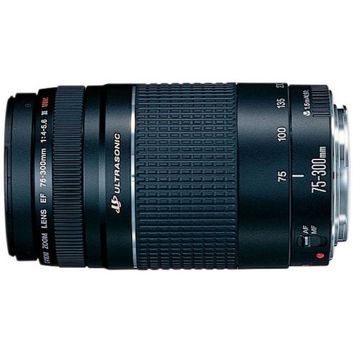 Canon EF 75 300mm f/4 5.6 III USM Telephoto Zoom Lens  
