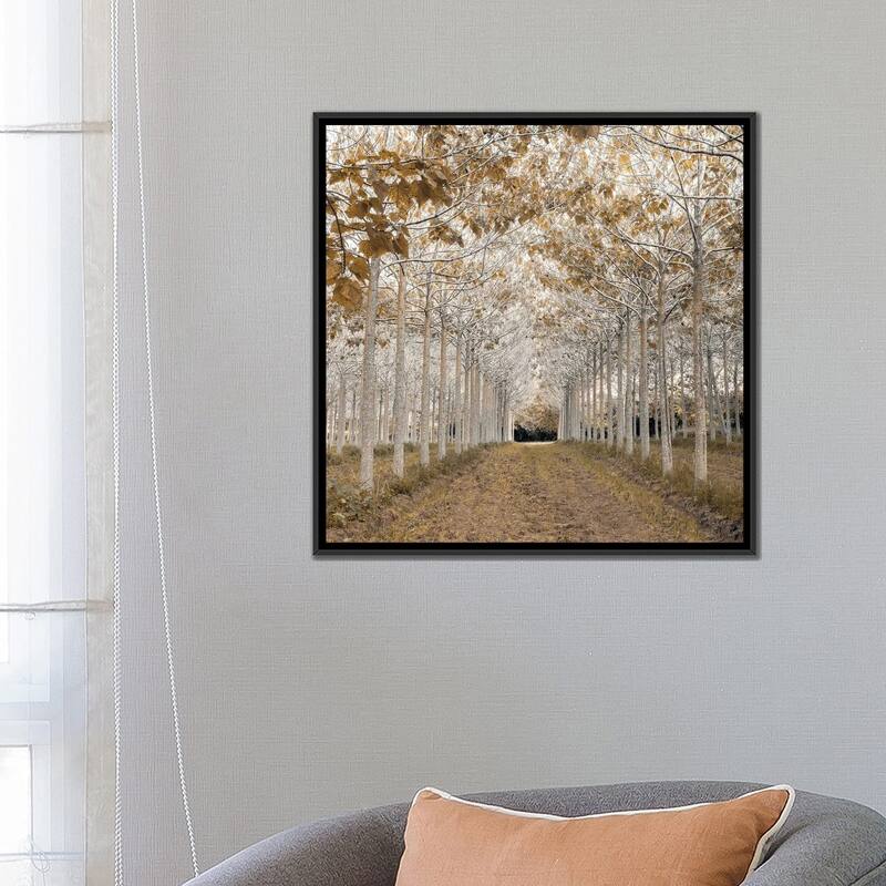 iCanvas "White Gold" by Assaf Frank Framed Canvas Print