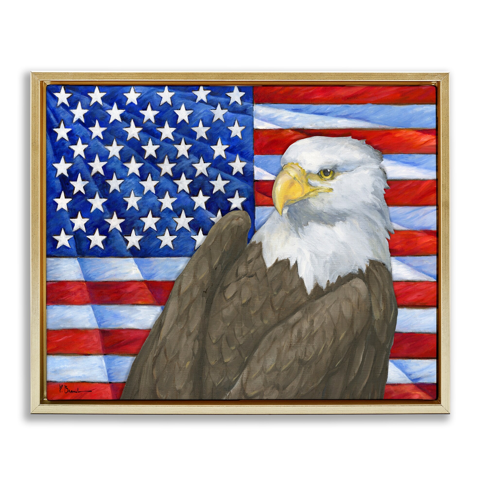 Stupell Eagle's View Flag Framed Floater Canvas Wall Art Design By Paul Brent