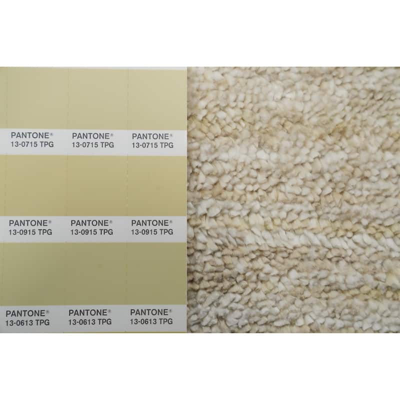 Hand Knotted Oriental Viscose Silk Carpet Tribal Animal Pictorial Beige & Ivories Gabbeh Area Rug - 11' 9'' X 8' 8''