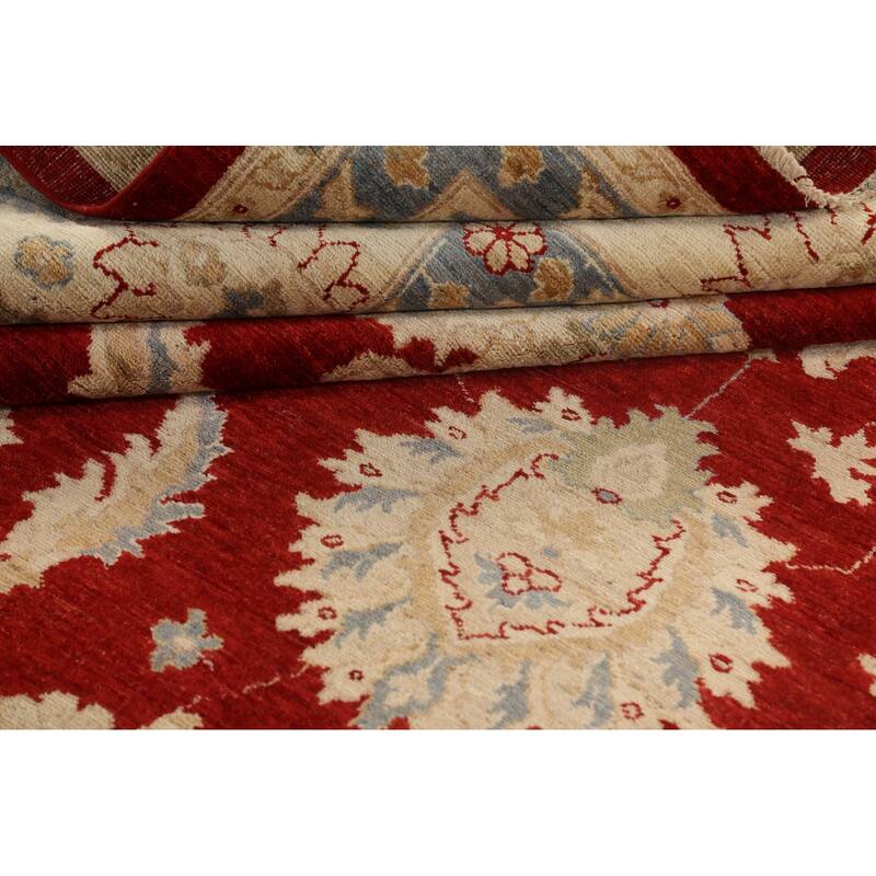 Vegetable Dye Floral Ziegler Oriental Wool Area Rug Handmade Carpet - 10'1" x 13'8"