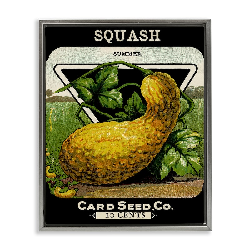 Stupell Vintage Garden Squash Framed Floater Canvas Wall Art Design By Lil' Rue - 25 x 31 - Grey