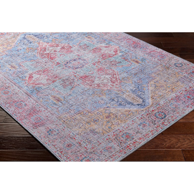 Madha Traditional Medallion Area Rug