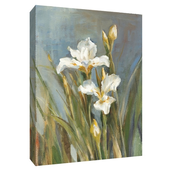 PTM Images 9-154621 PTM Canvas Collection 10" x 8" - "Spring Iris II" Giclee Irises Art Print on Canvas