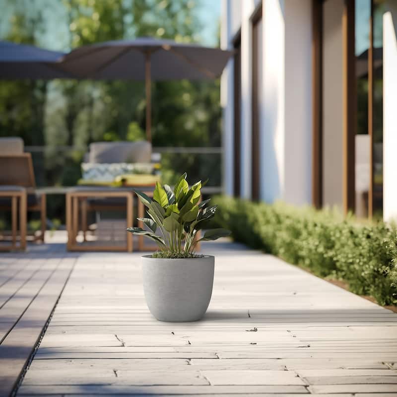 Tall Concrete Round Plant Pots / Large Indoor and Outdoor flower Planters
