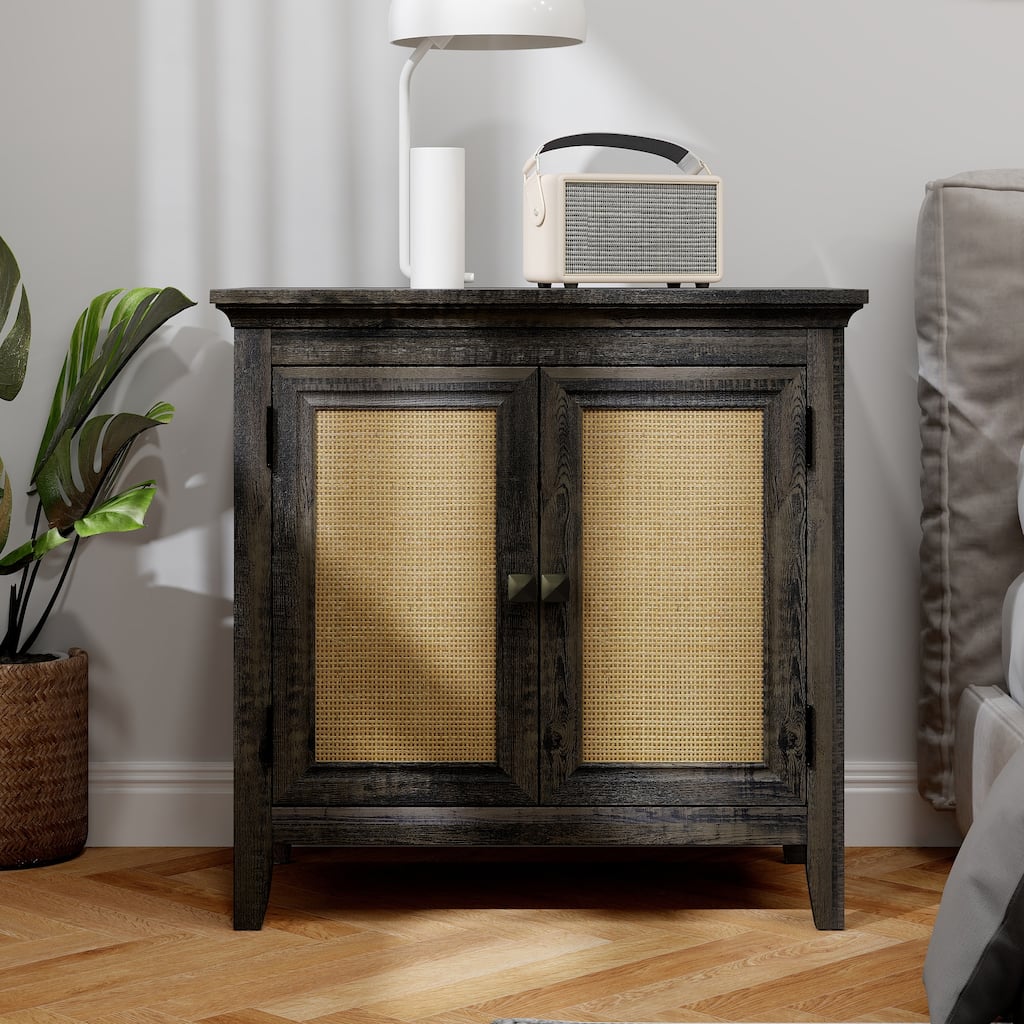 2 Door Rattan Storage Cabinet