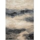 preview thumbnail 33 of 35, Nourison Maxell Ombre Abstract Area Rug