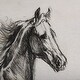preview thumbnail 7 of 5, Old West Collection V (Horse Sketch) (28 x 21) Canvas Art Print