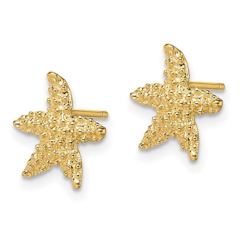 Curata 14k Yellow Gold Sea shell Nautical Starfish Post Earrings Textured 7x6.3mm