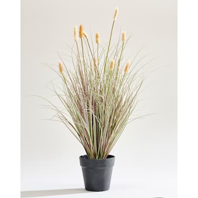 28" Artificial Setaria Foxtail Grass in Black Pot - Cream/Chocolate - 28