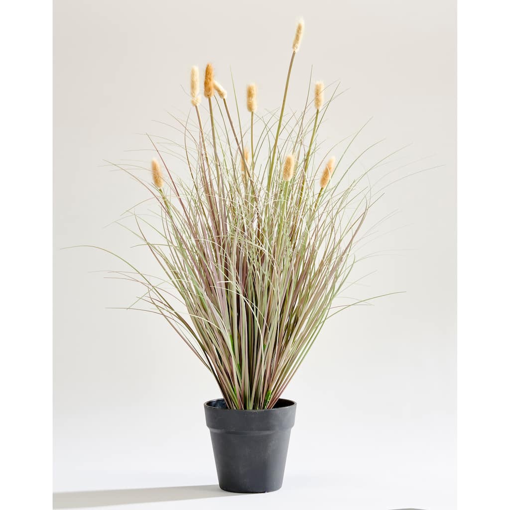 28" Artificial Setaria Foxtail Grass in Black Pot - Cream/Chocolate - 28