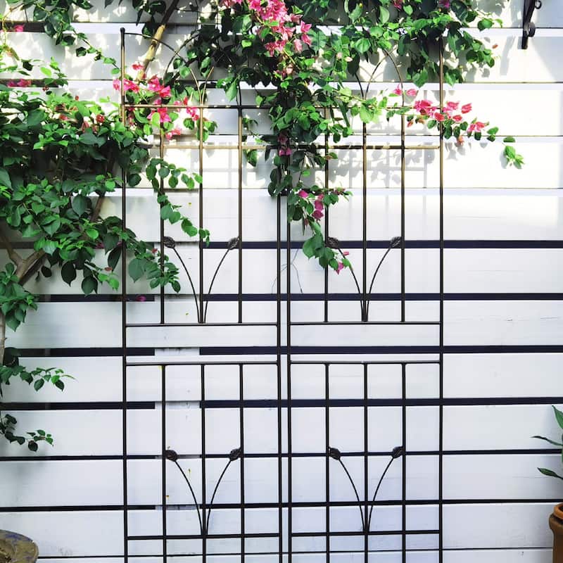 4 Pack Metal Garden Trellis 71" x 17.7" Rustproof Trellis for Climbing Plants Outdoor Flower Support