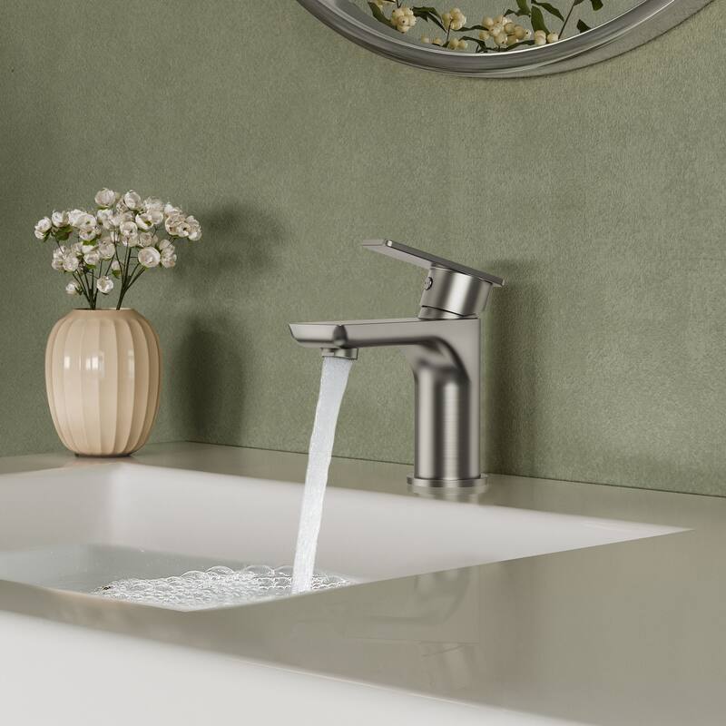 Single Hole Bathroom Faucet with Drain Assembly, Single Handle Bathroom Sink Faucet