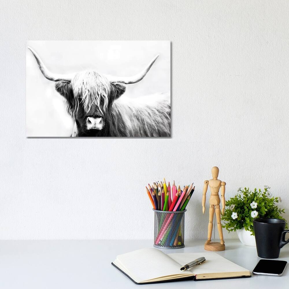 iCanvas "Highland Longhorn" by Danita Delimont Canvas Print