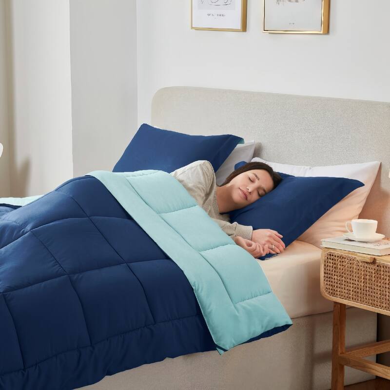 Empyrean All Season Alternative Down Lightweight Reversible Comforter Set