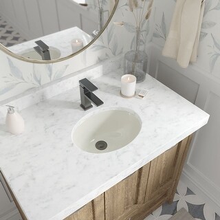 UPS-Bisque Porcelain Bathroom Sink with Pop-Up Drain - Bed Bath ...