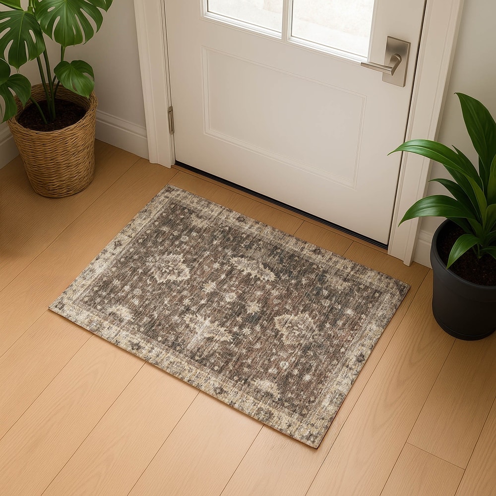 Premium Washable Super Soft Traditional Mayfield Rug