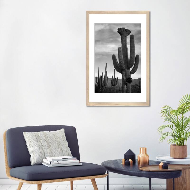 iCanvas "Saguaros, Saguaro National Monument" by Ansel Adams
