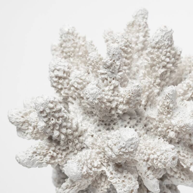Isla (Large) 5L x 5W White Replica Resin Coral On Clear White Glass