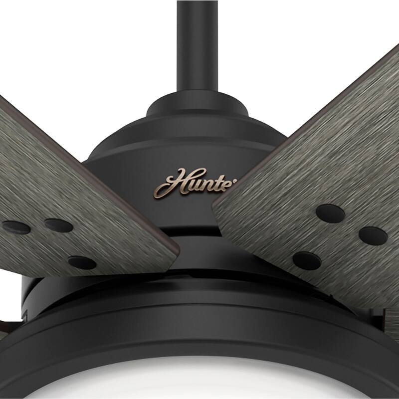 Hunter 70" Warrant Windmill Ceiling Fan with LED Light Kit and Wall Control - Farmhouse, Industrial, Contemporary