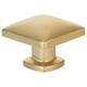 Option Satin Brass