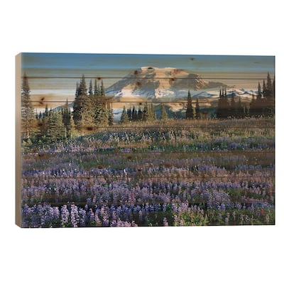 Snow-Covered Mount Rainier With A Wildflower Field In The Foreground, Washington, USA Print On Wood by Jamie & Judy Wild