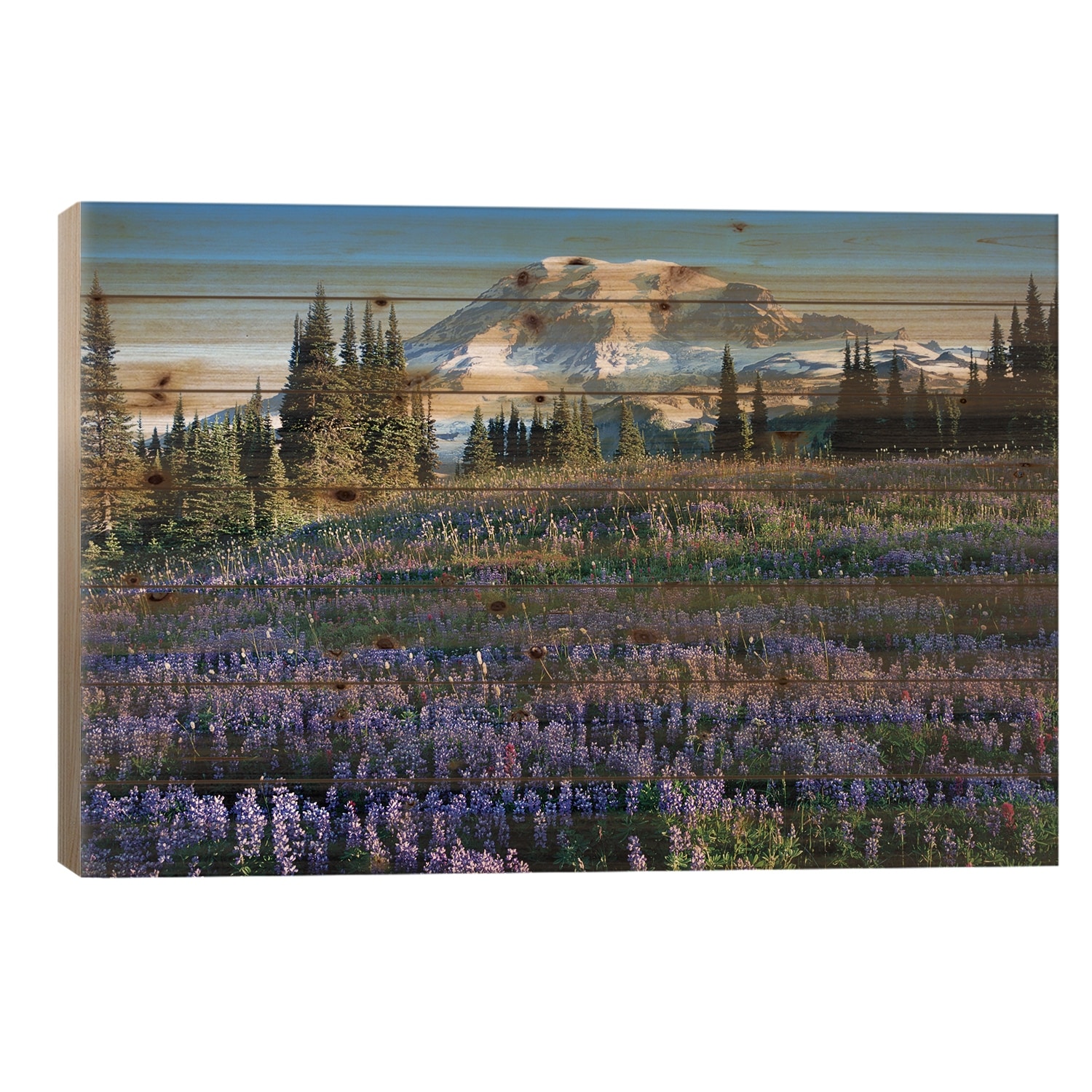 Snow-Covered Mount Rainier With A Wildflower Field In The Foreground, Washington, USA Print On Wood by Jamie & Judy Wild
