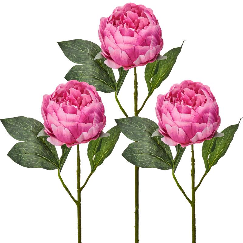 21" Lovely Peony Stem Set of 3