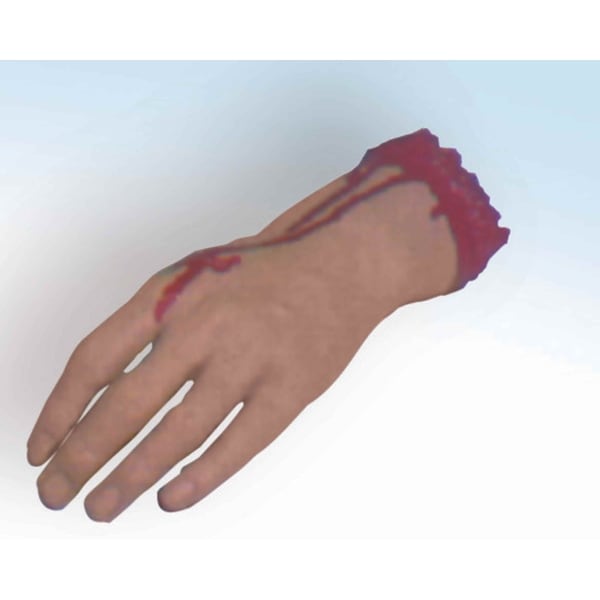 Bloody Body Part Severed Hand Halloween Costume Prop