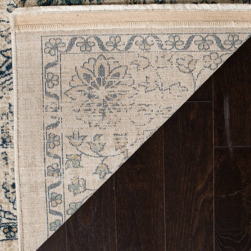 SAFAVIEH Evoke Kandi Distressed Vintage Boho Rug