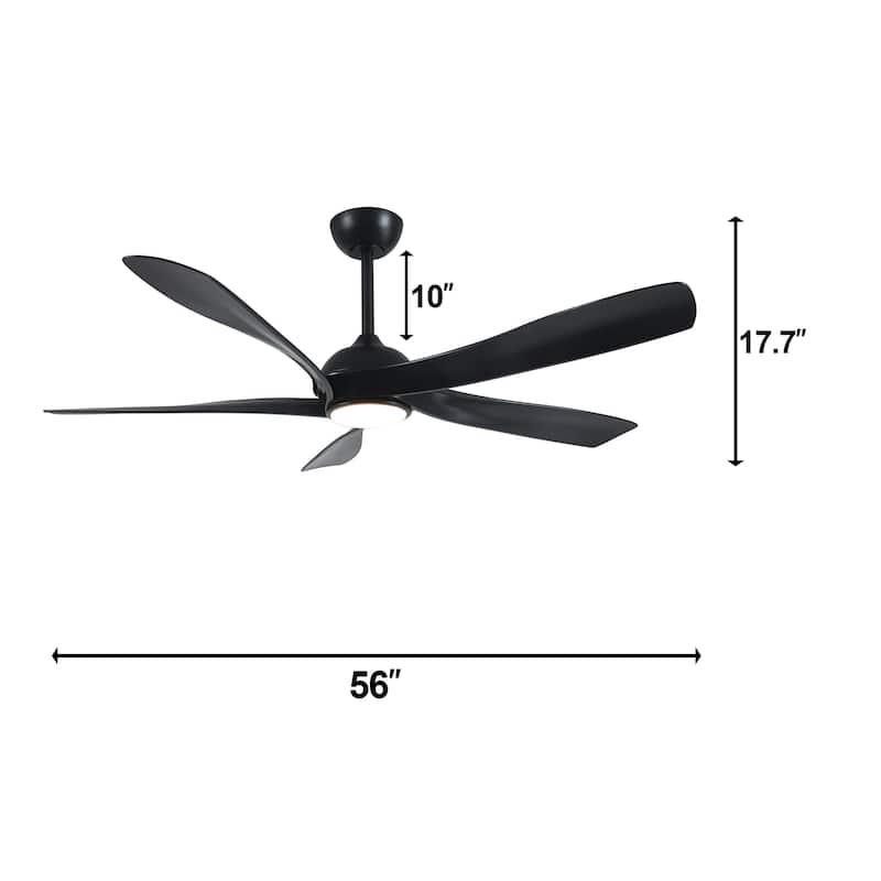 Fergus 5-Blade Lighted Ceiling Fan with LED Lamp with Remote