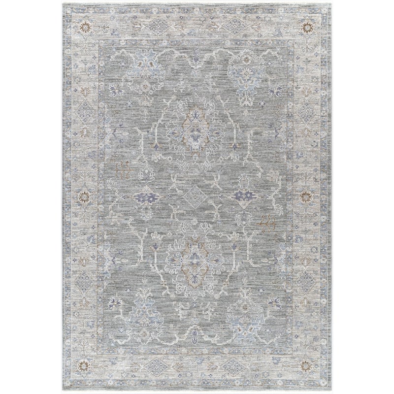 Hunza Updated Traditional Medallion Area Rug