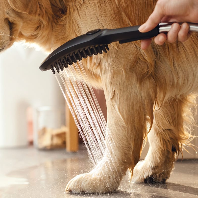 Hansgrohe 04974 DogShower 150, 3-Jet Select Hand Held Dog Shower Set