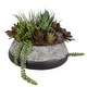 preview thumbnail 3 of 3, Uttermost Yuma Succulent Centerpiece - 15"W x 13"H x 14"D