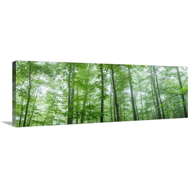 "Trees in a forest, Hamburg, New York State" Canvas Wall Art