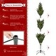 preview thumbnail 37 of 43, Glitzhome 7.5ft/9ft Pre-Lit Full Fir Artificial Christmas Tree w/Foot Pedal & Remote Control Simple Setup